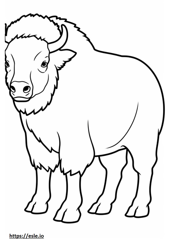 Seluruh tubuh bison gambar mewarnai