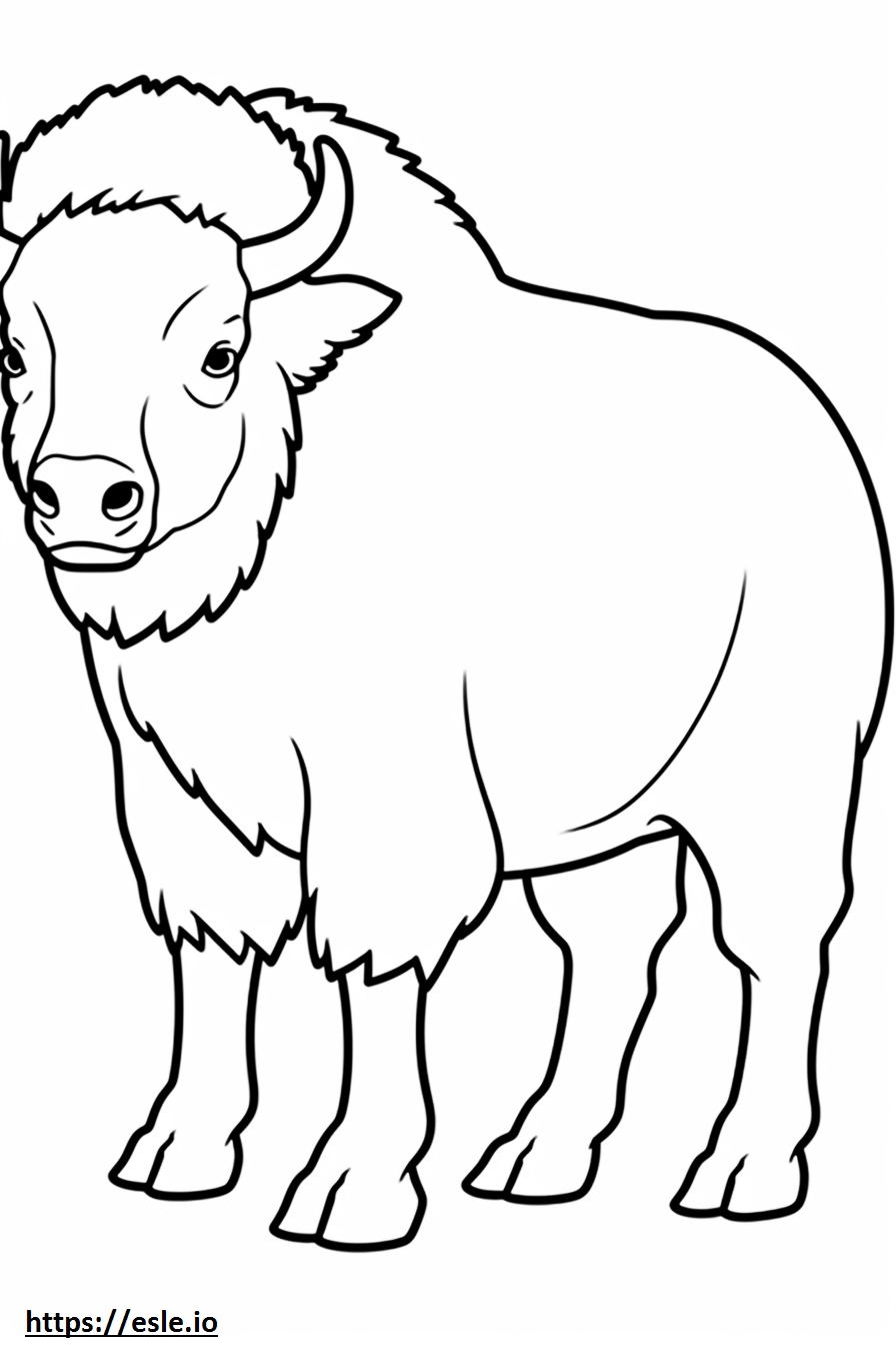 Bison full body coloring page