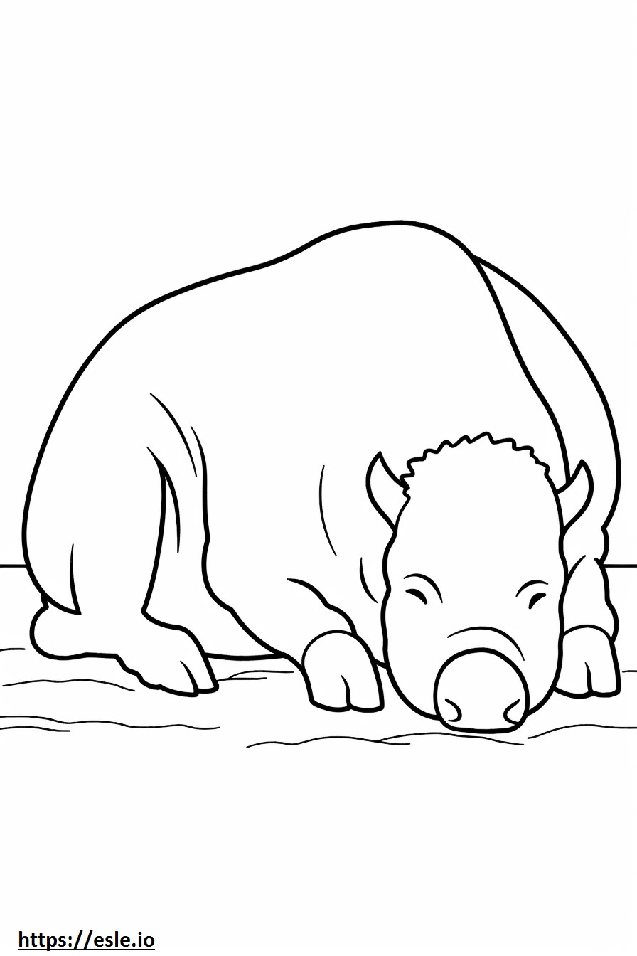 Bison Sleeping coloring page