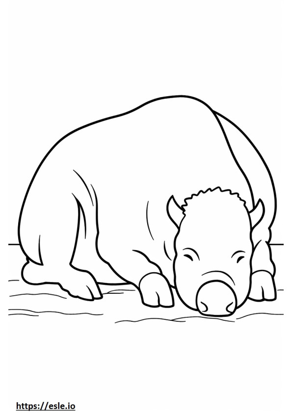 Bison Sleeping coloring page