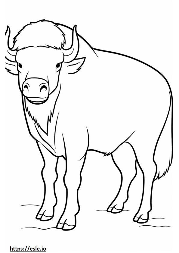 Amichevole con i bisonti da colorare