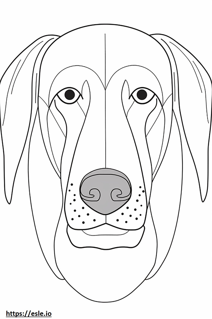 Zwart en Tan Coonhound-gezicht kleurplaat kleurplaat