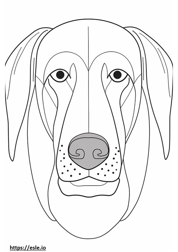 Cara de Coonhound negro y fuego para colorear e imprimir