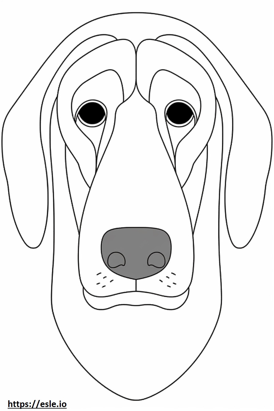 Cara de Coonhound preto e castanho para colorir