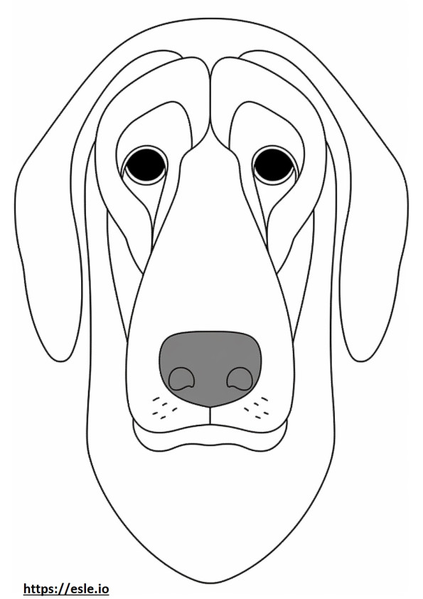 Cara de Coonhound preto e castanho para colorir