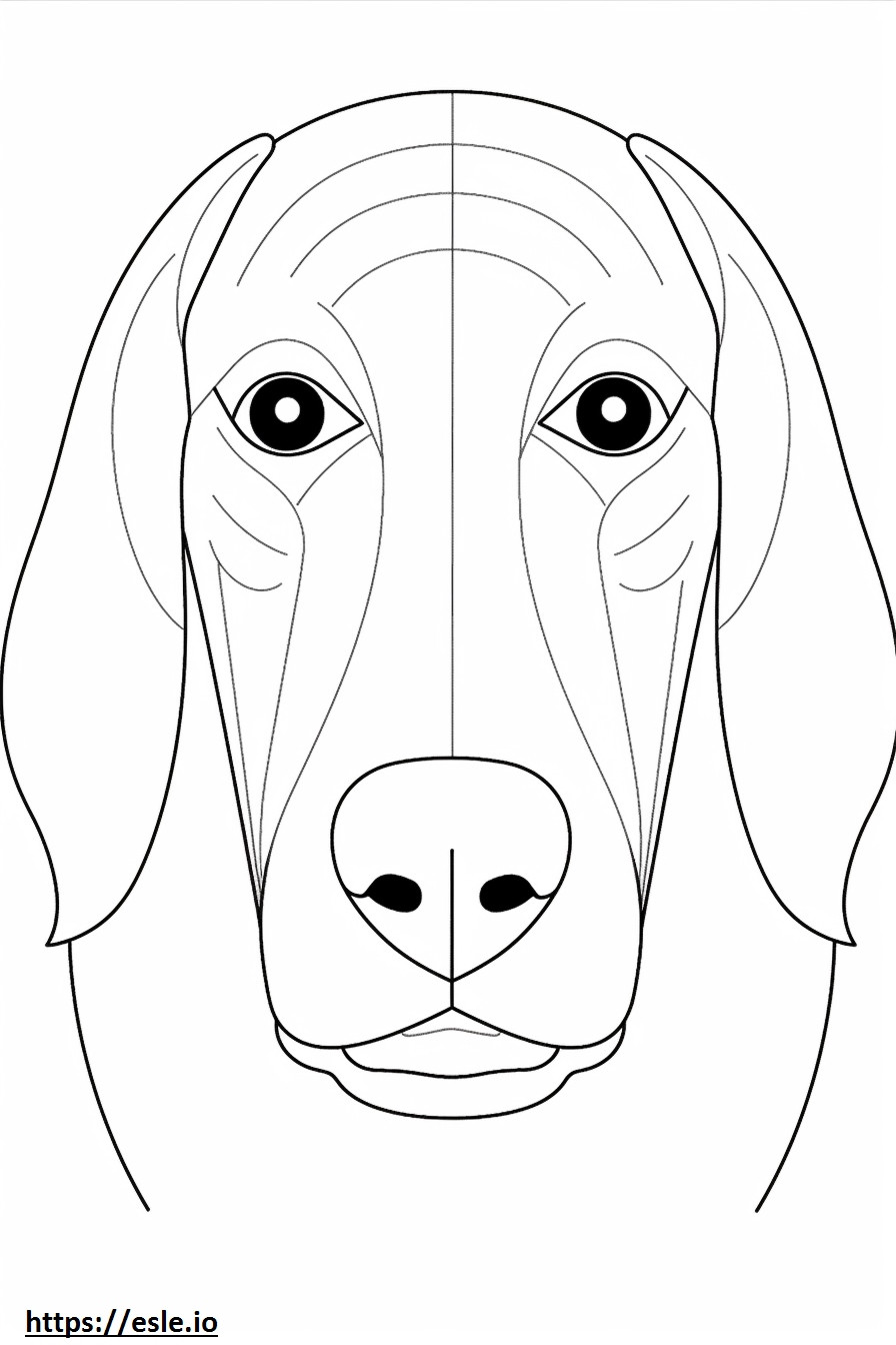 Zwart en Tan Coonhound-gezicht kleurplaat kleurplaat