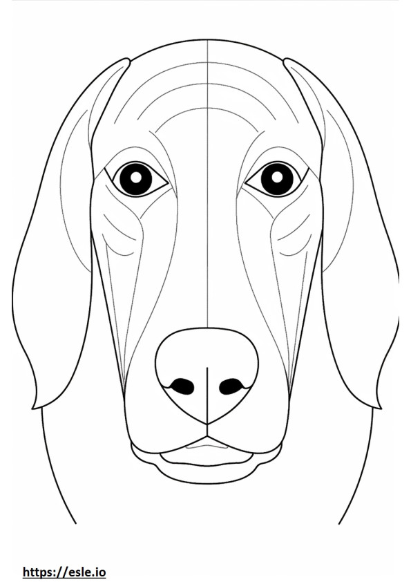 Fața de coonhound negru și bronzat de colorat