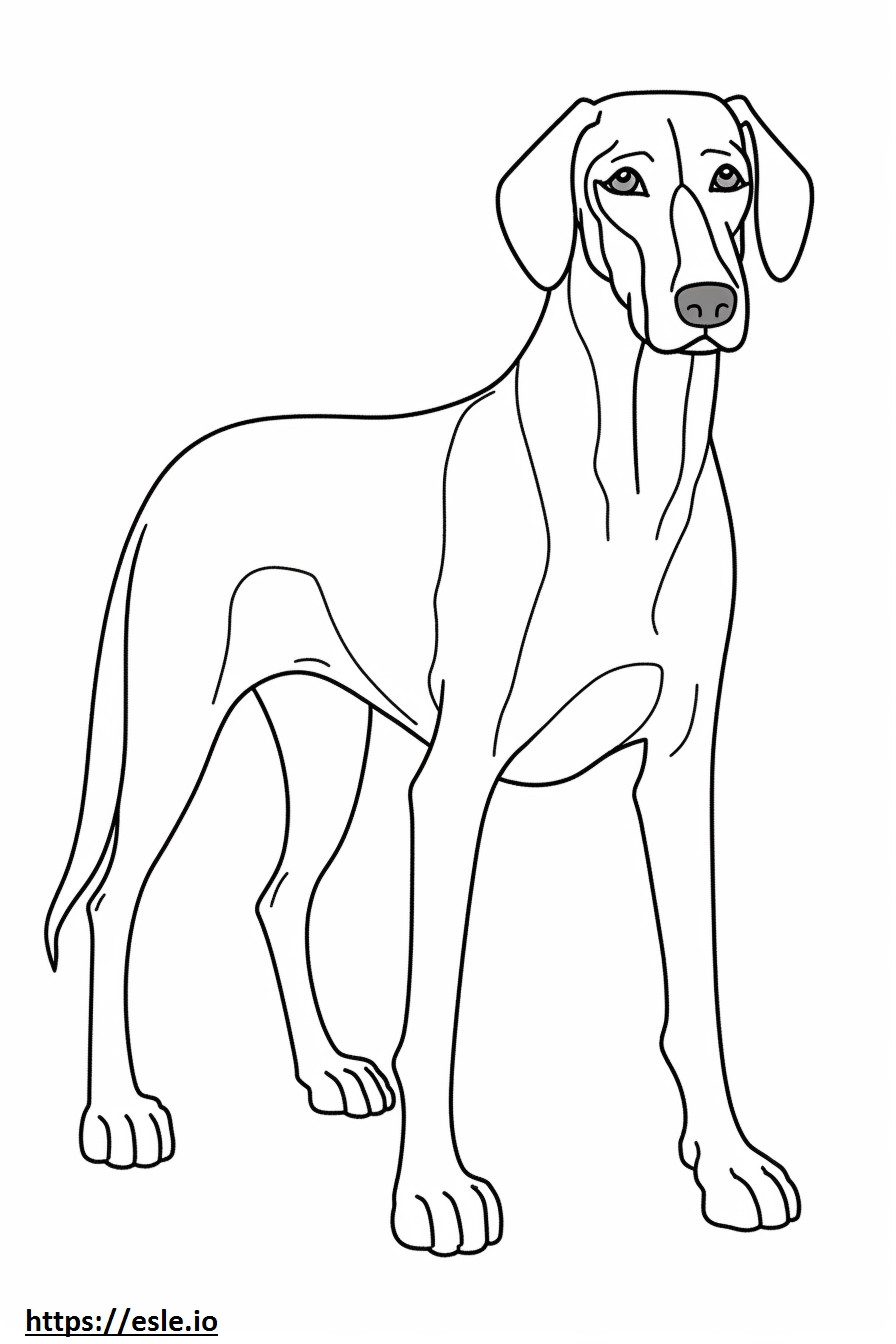 Black And Tan Coonhound baby coloring page
