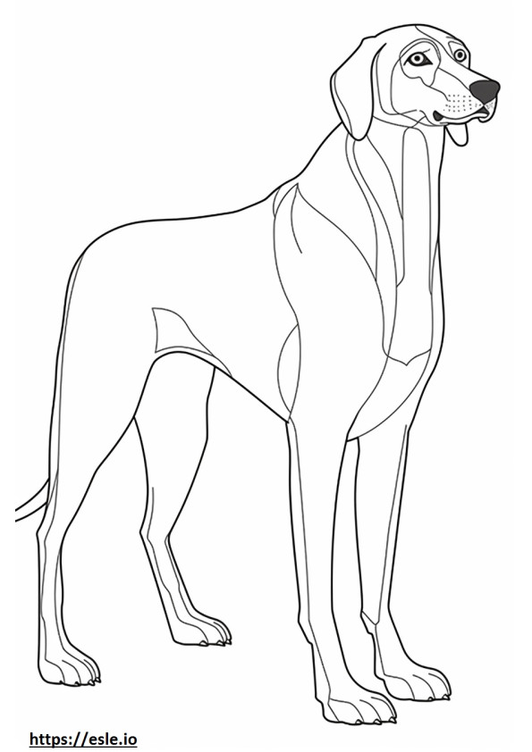 Corpo inteiro do Coonhound preto e castanho para colorir