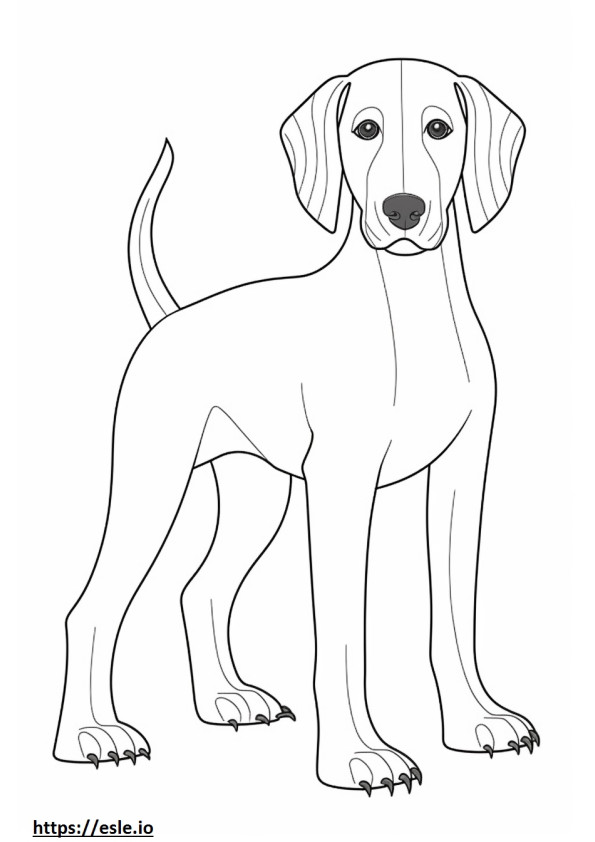 Black And Tan Coonhound baby coloring page
