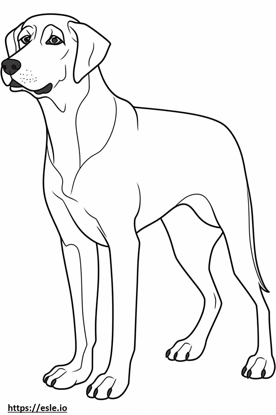 Cartone animato di Coonhound nero focato da colorare