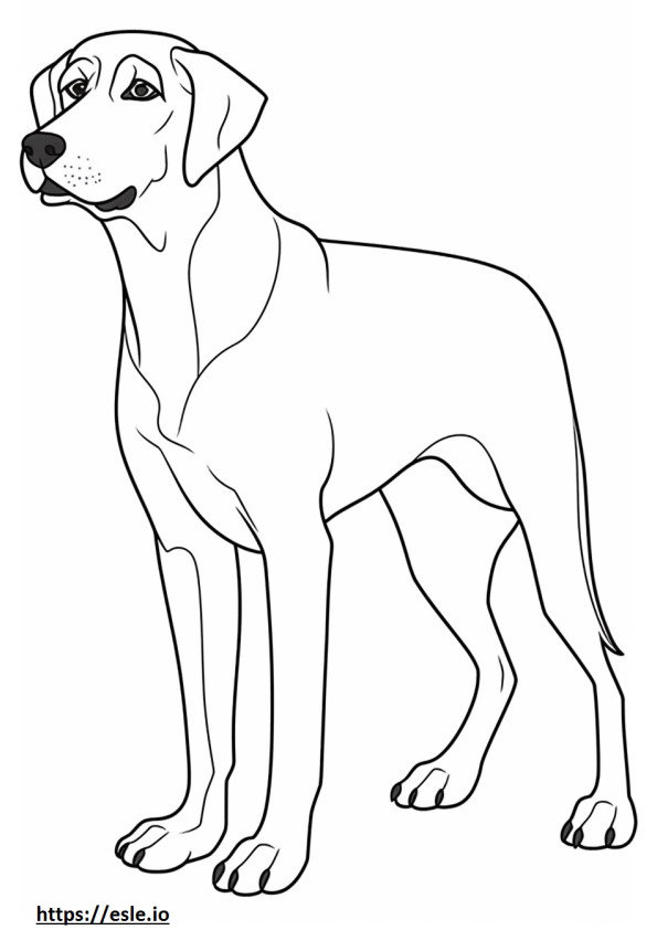 Black And Tan Coonhound cartoon coloring page