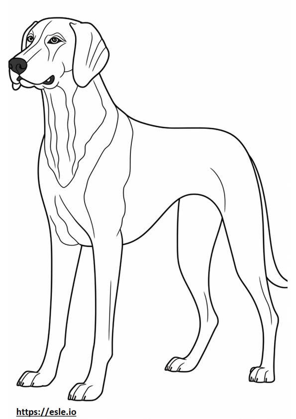 Coonhound preto e castanho fofo para colorir