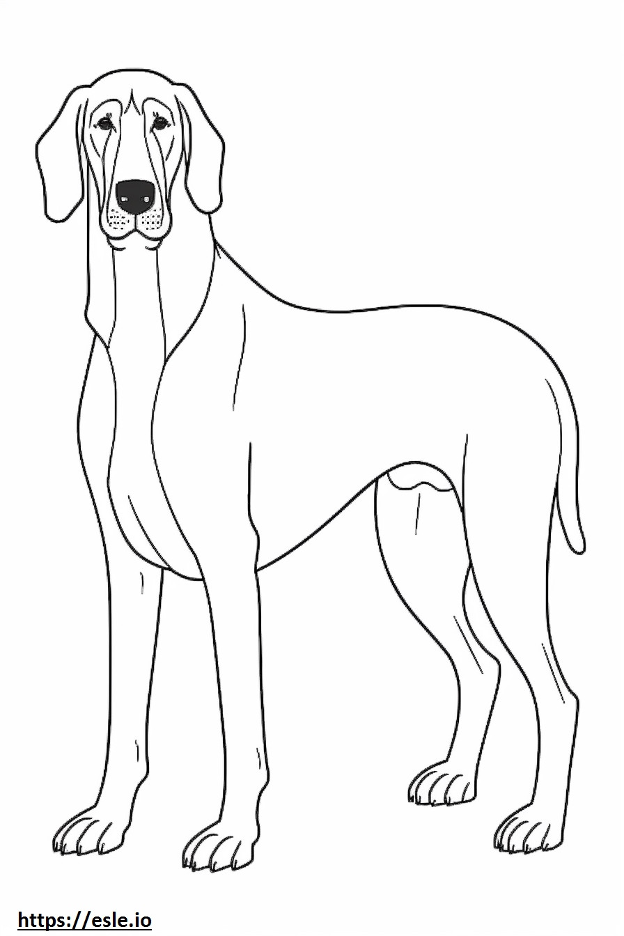 Black And Tan Coonhound-Cartoon ausmalbild