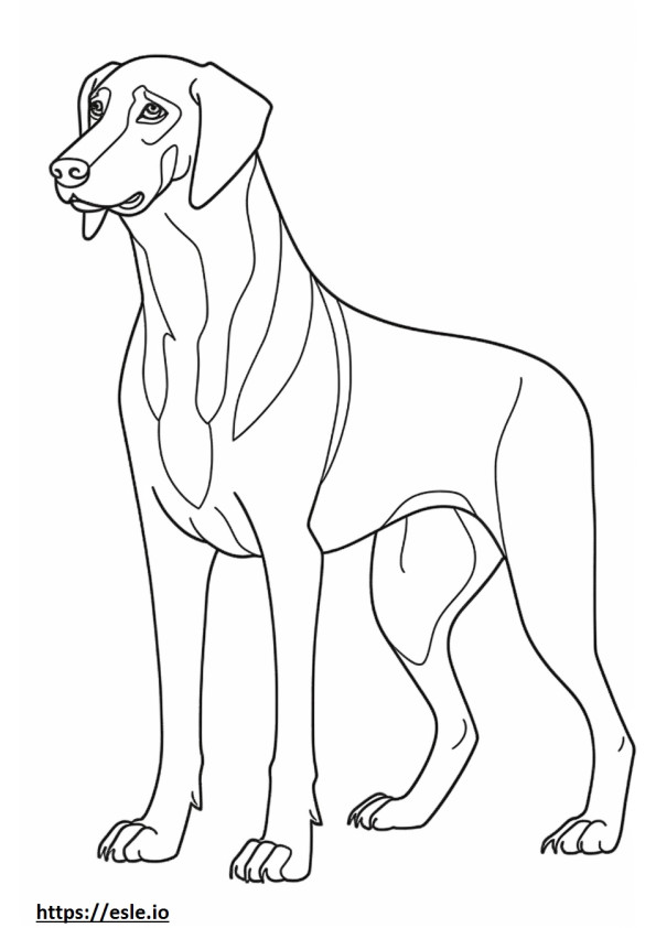 Desenho animado de Coonhound preto e castanho para colorir