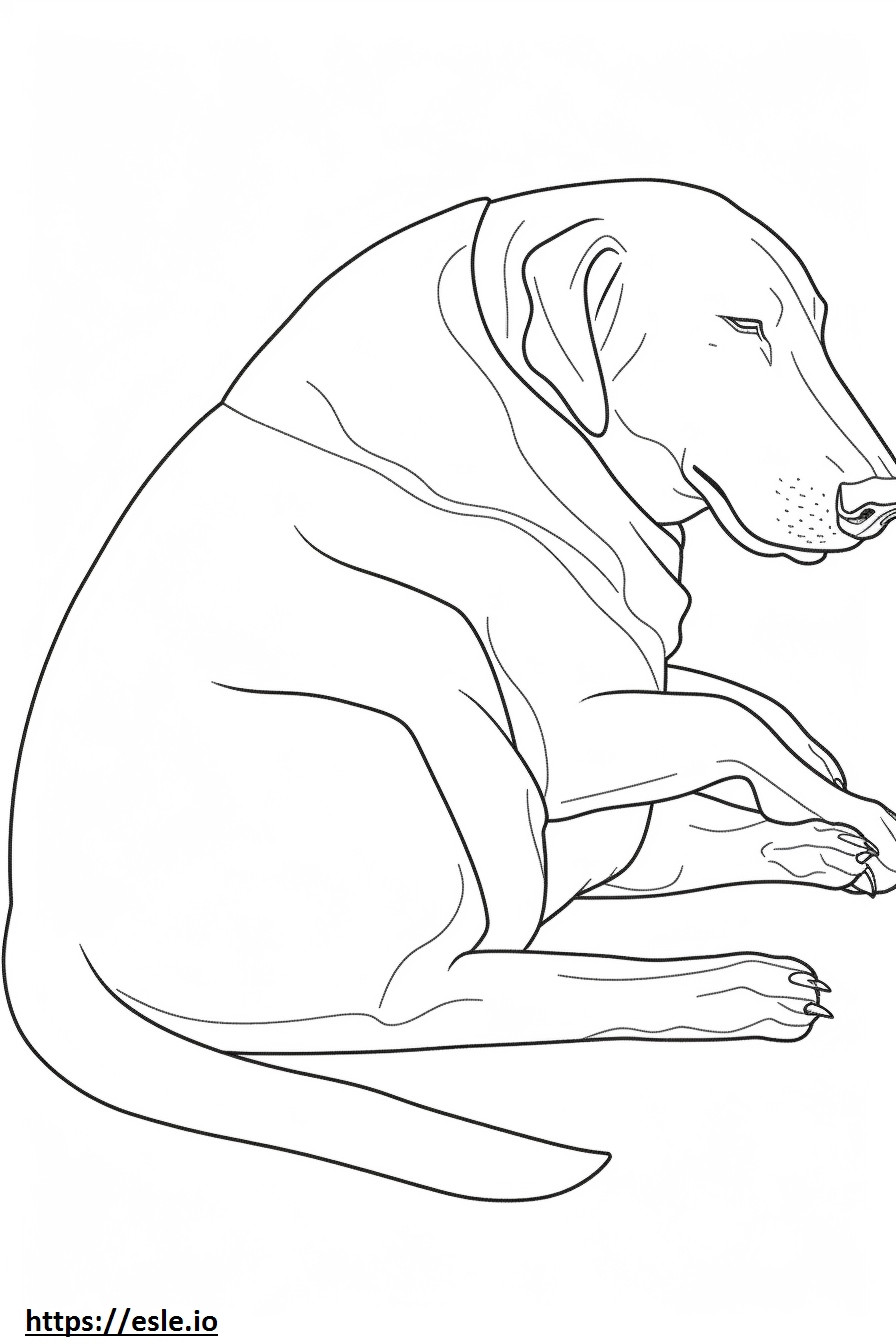Zwart en bruin Coonhound slapen kleurplaat kleurplaat