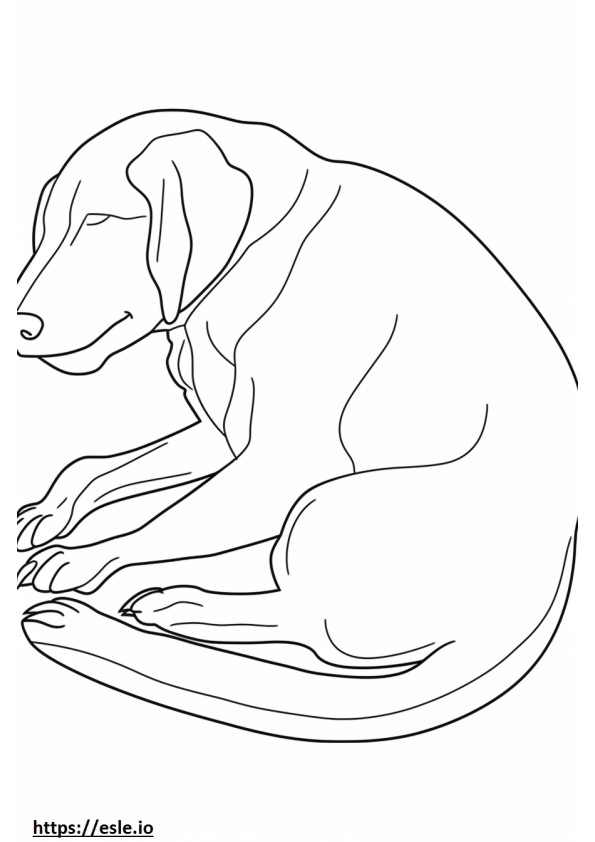 Coloriage Coonhound noir et feu dormant à imprimer