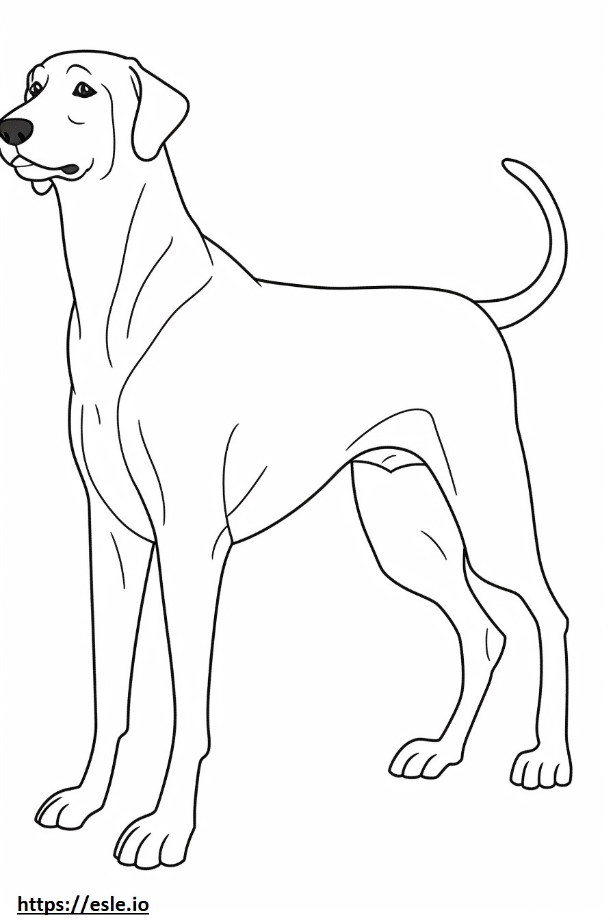 Het zwarte en Tan Coonhound spelen kleurplaat kleurplaat