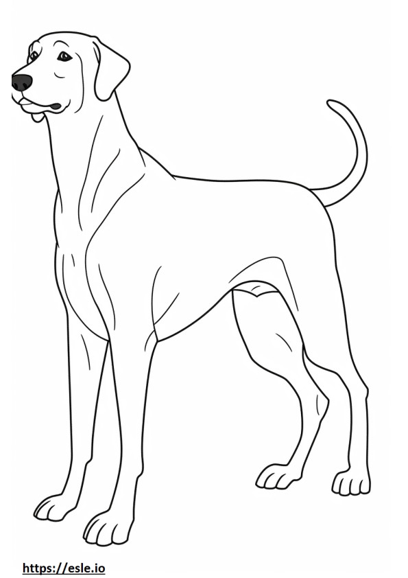 Coonhound preto e castanho brincando para colorir