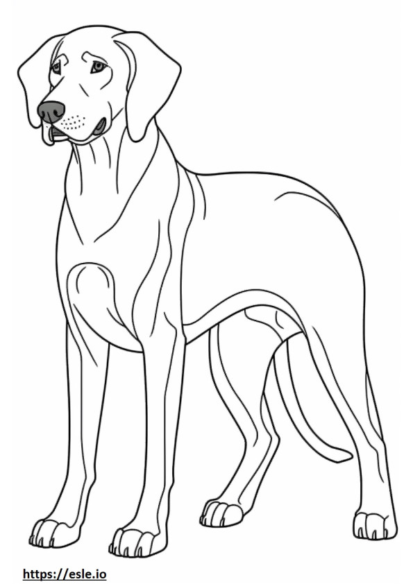 Gioco del Coonhound nero focato da colorare