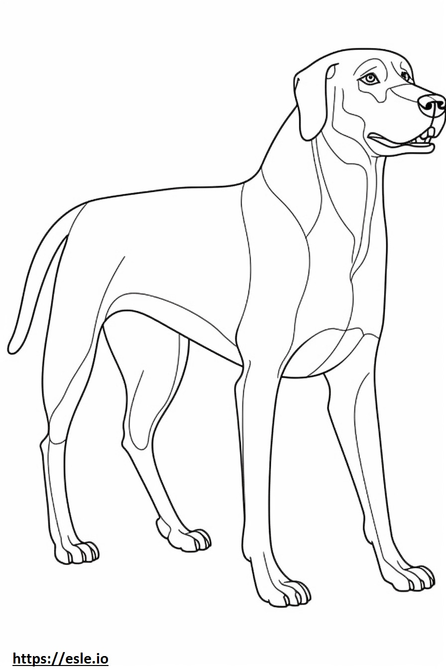 Black And Tan Coonhound Playing coloring page