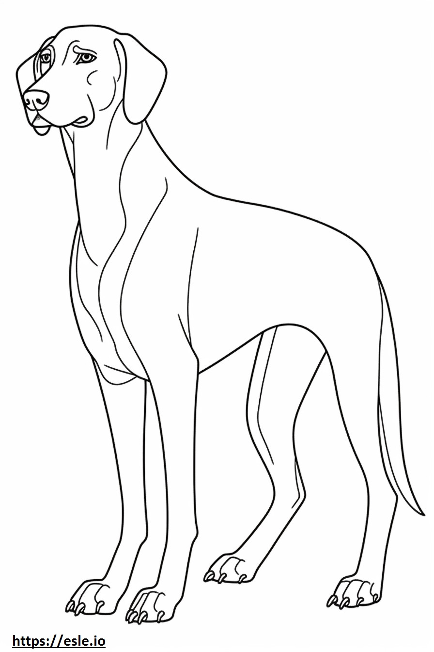 Zwart en bruin Coonhound vriendelijk kleurplaat kleurplaat