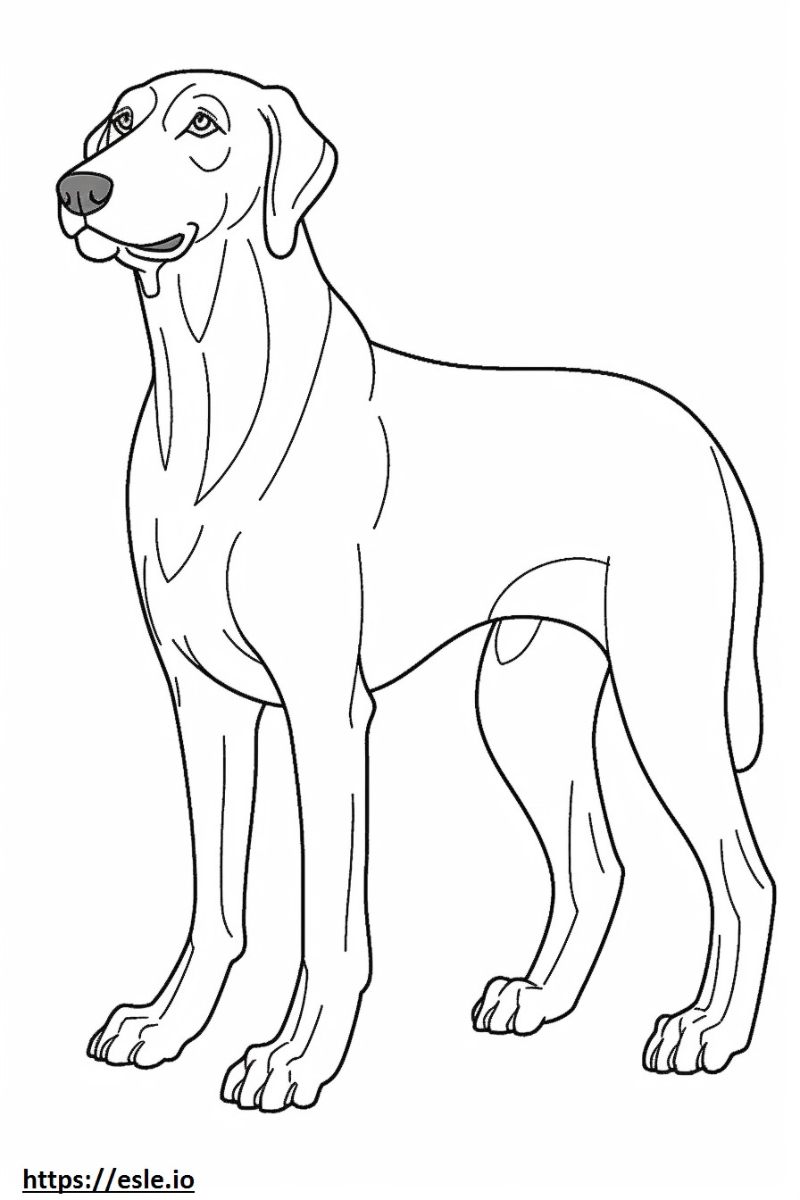 Black And Tan Coonhound Friendly coloring page