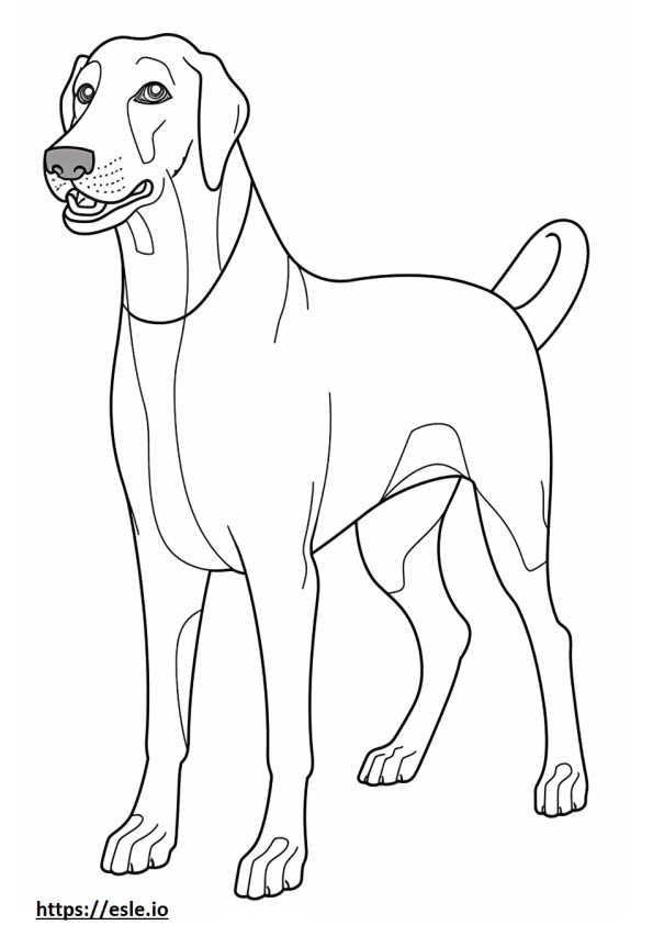 Coonhound preto e castanho amigável para colorir