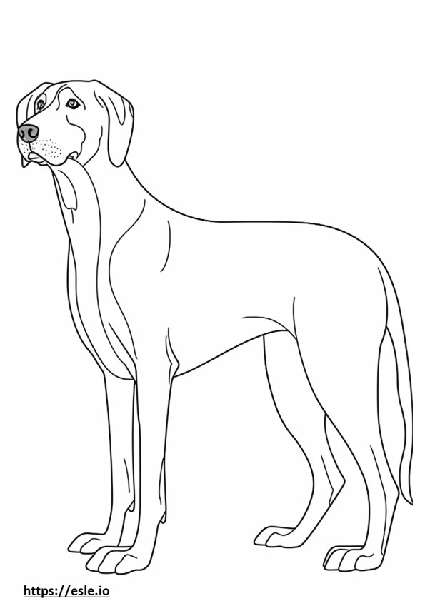 Coonhound preto e castanho amigável para colorir