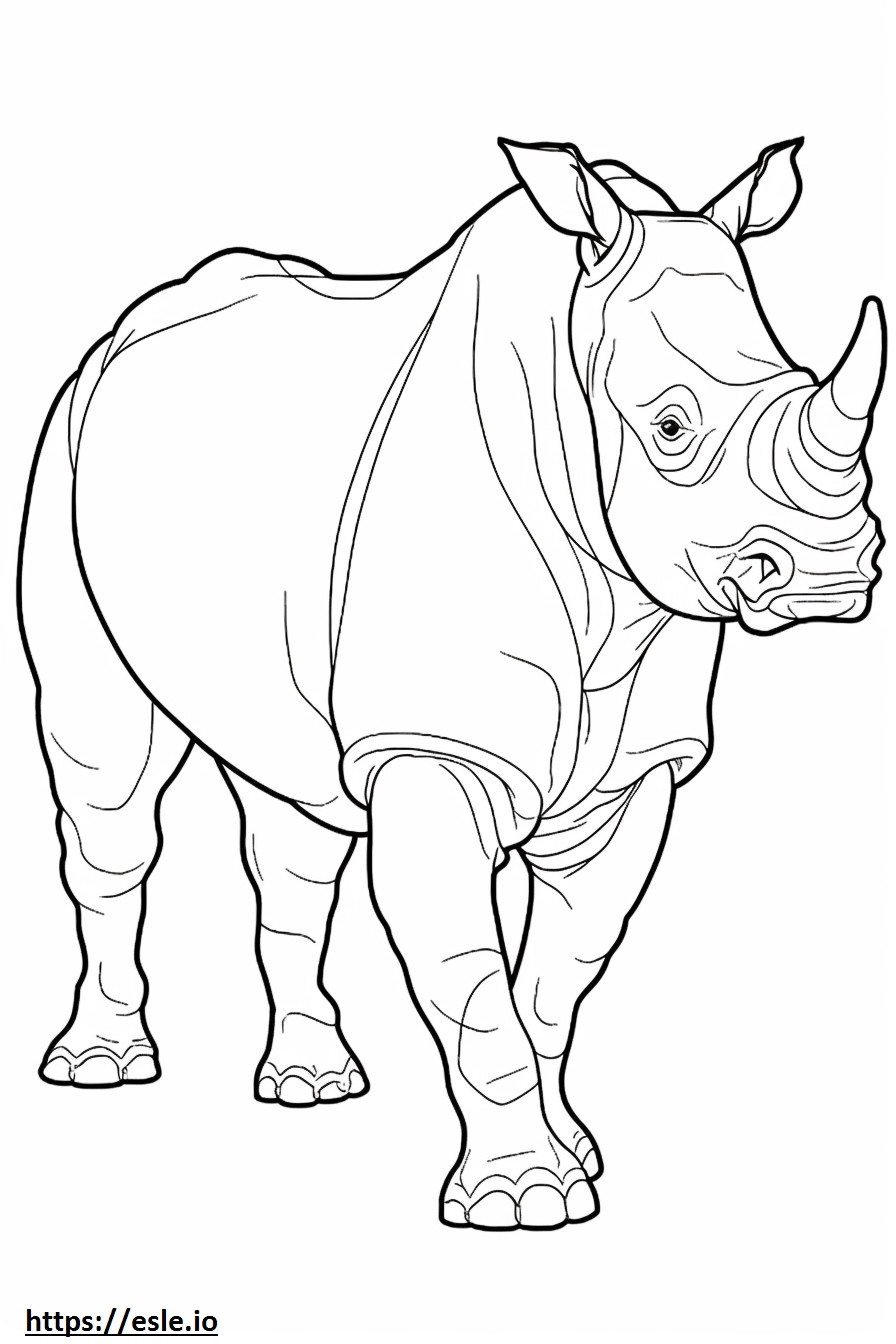 Rinoceronte negro de cuerpo entero para colorear e imprimir