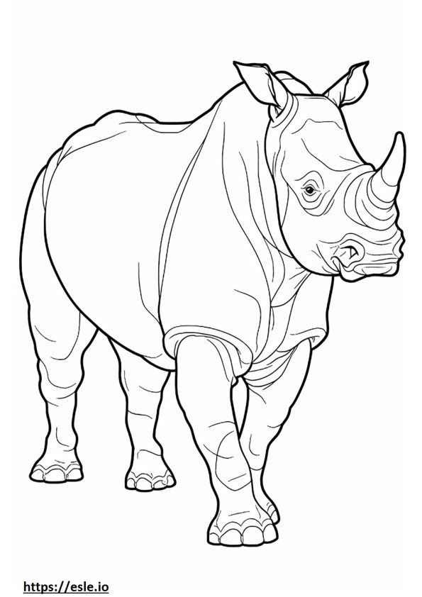 Corpo intero di rinoceronte nero da colorare