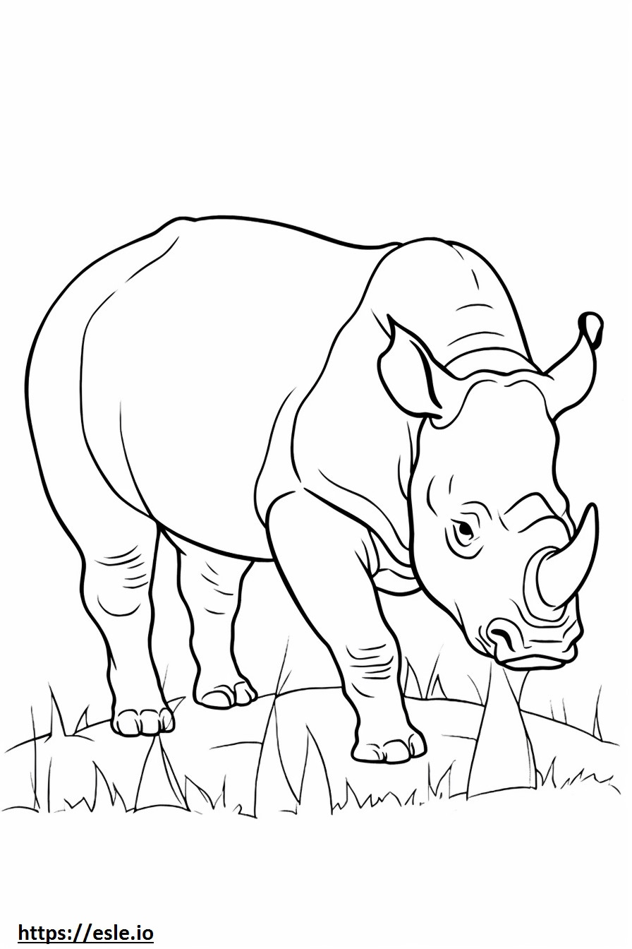 Coloriage Rhinocéros noir jouant à imprimer
