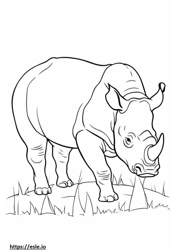 Bawiący się czarny nosorożec kolorowanka