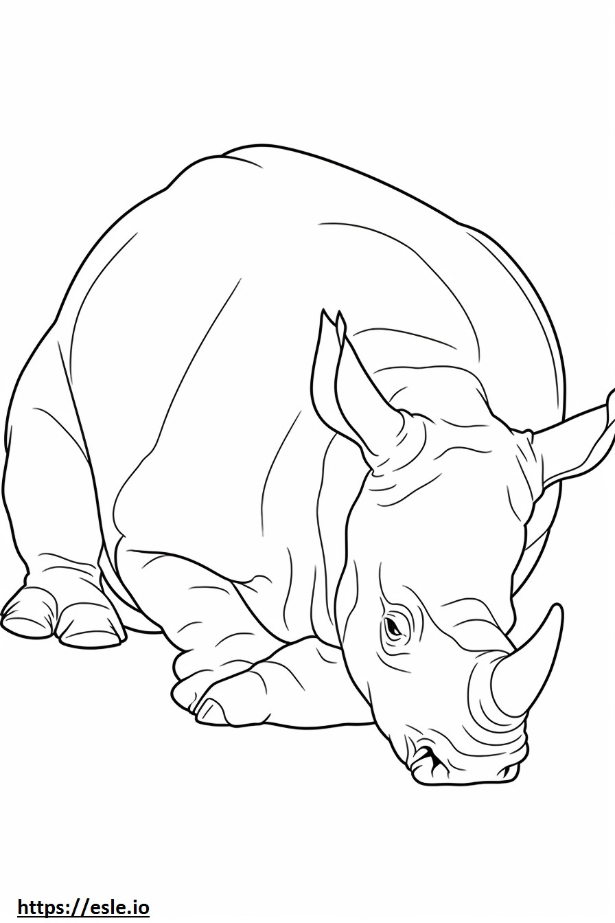 Coloriage Rhinocéros noir dormant à imprimer