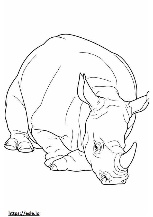 Rinocer Negru Dormit de colorat