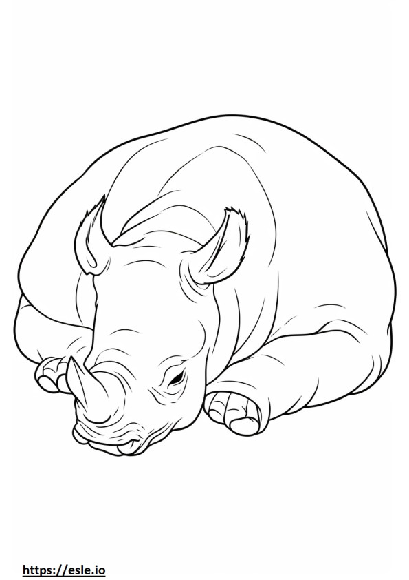Rinoceronte Negro dormindo para colorir
