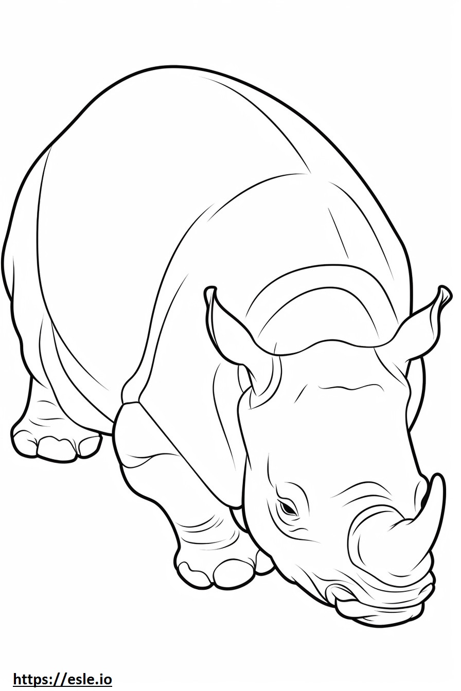 Czarny nosorożec śpi kolorowanka