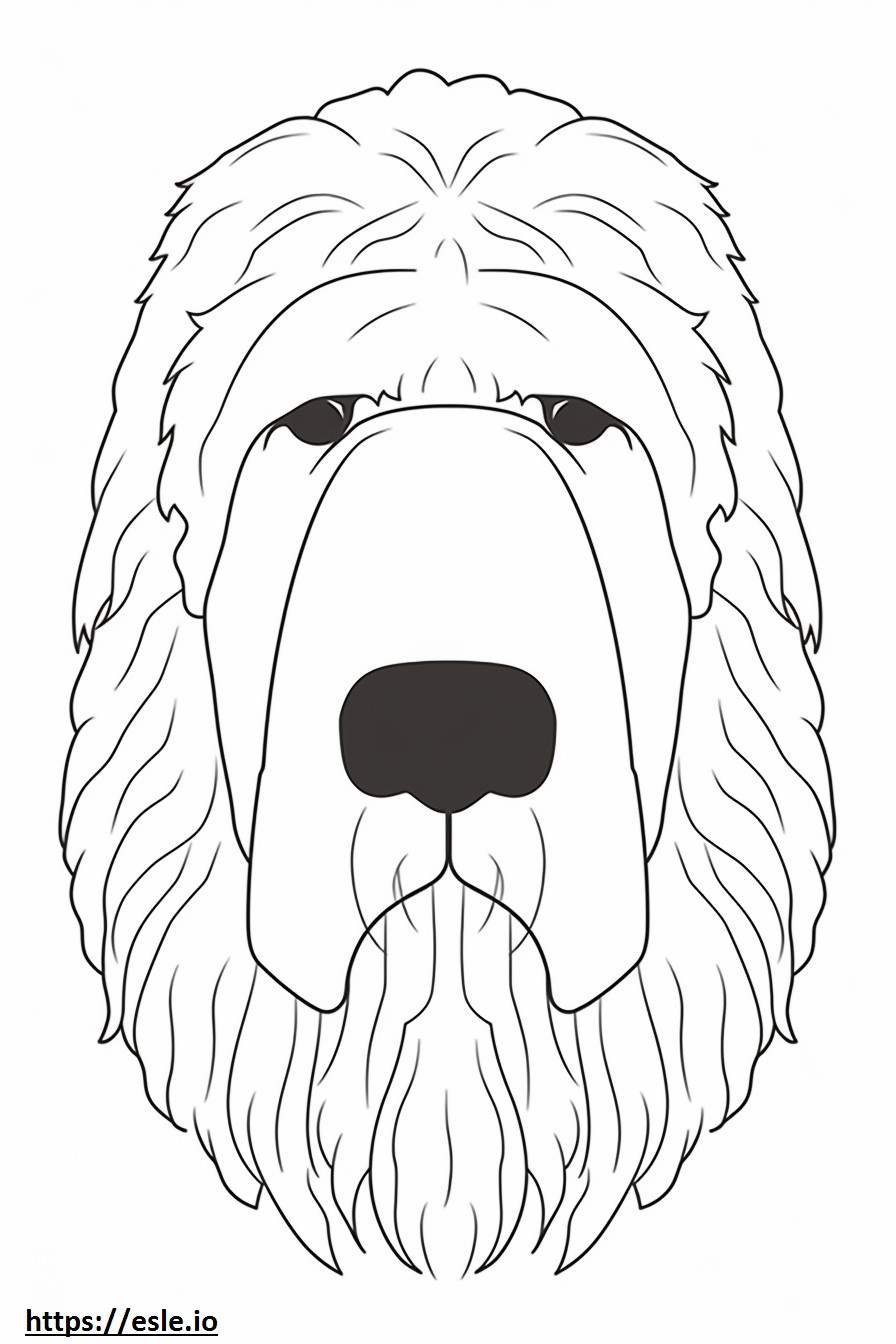 Cara de Terrier Russo Preto para colorir