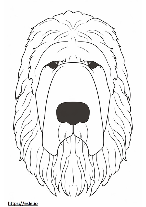 Coloriage Visage de Terrier noir russe à imprimer