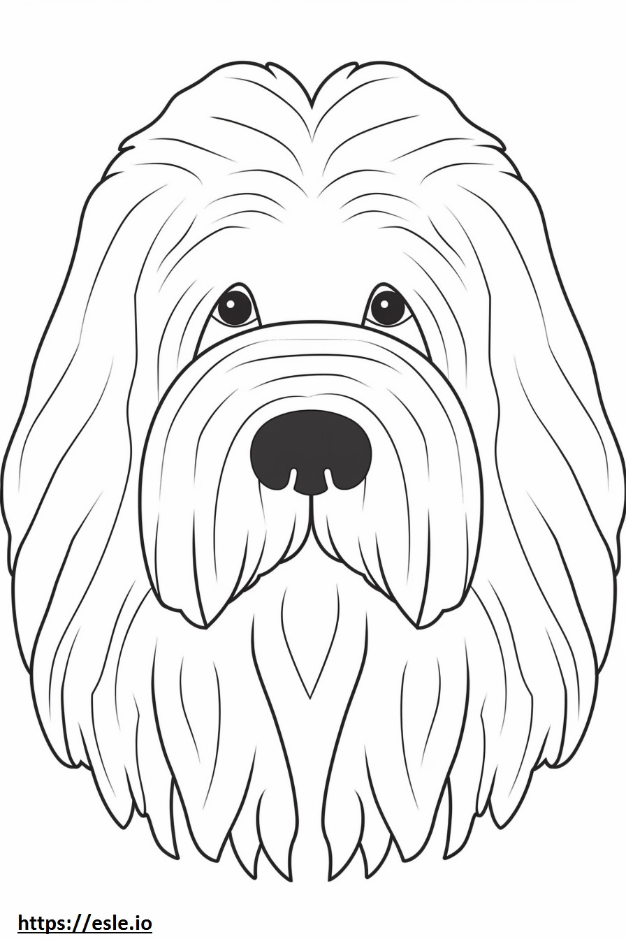 Black Russian Terrier face coloring page