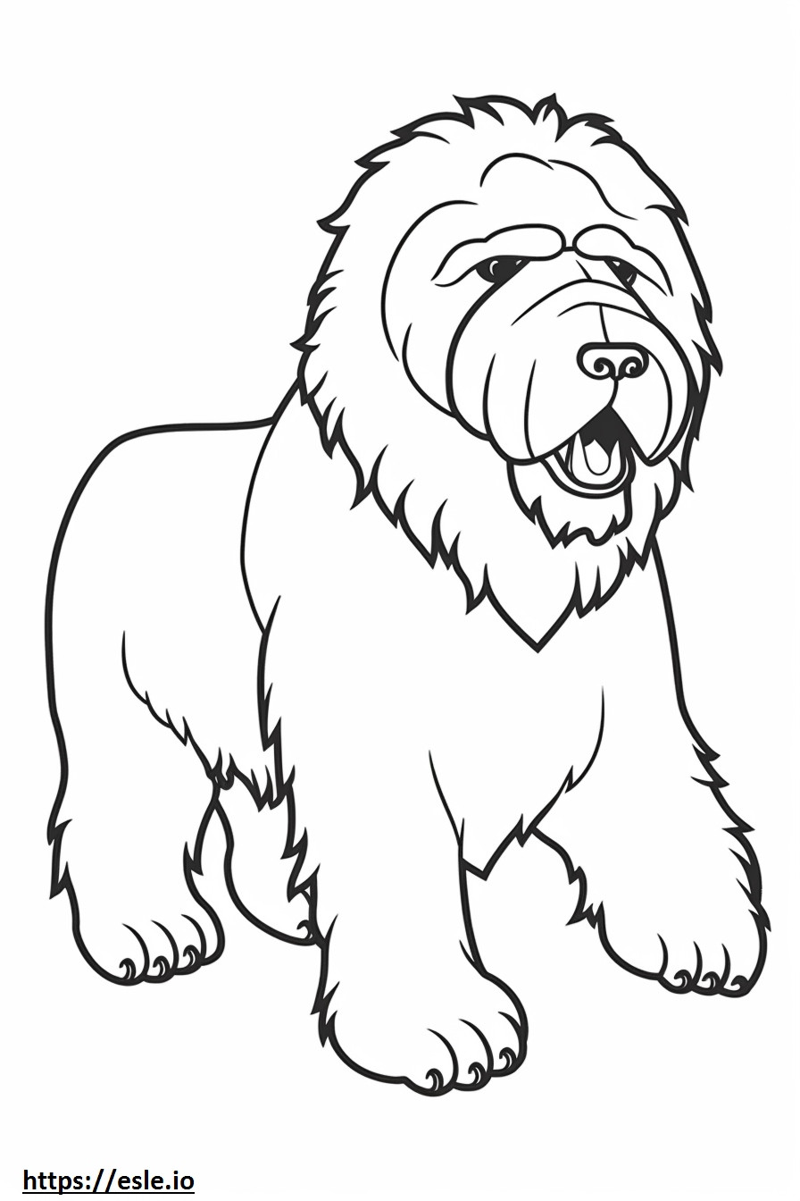 Black Russian Terrier baby coloring page