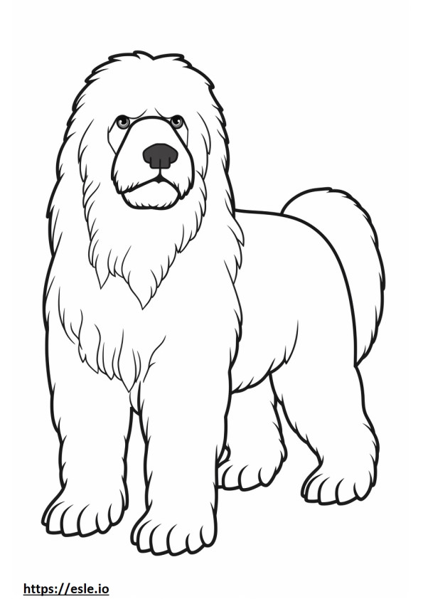 Black Russian Terrier baby coloring page