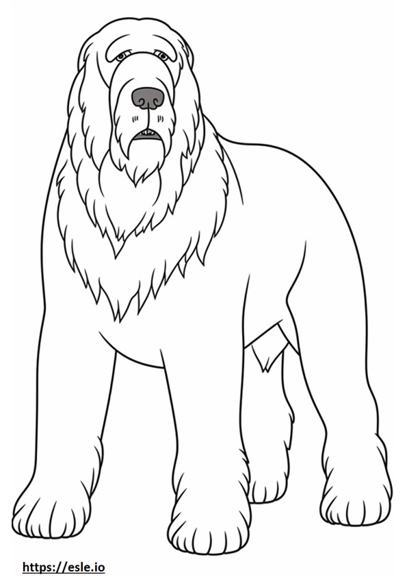 Black Russian Terrier full body coloring page