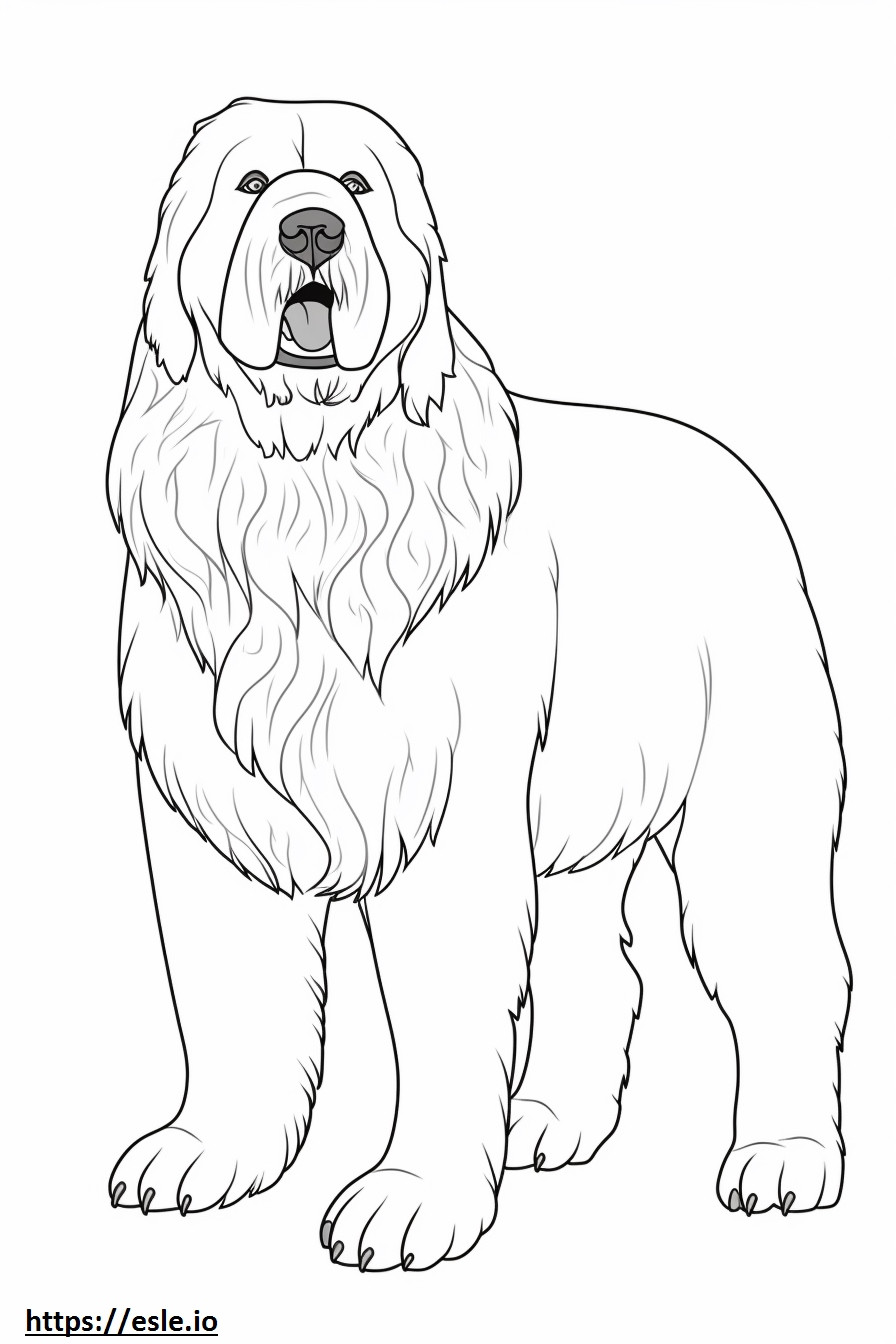 Black Russian Terrier full body coloring page