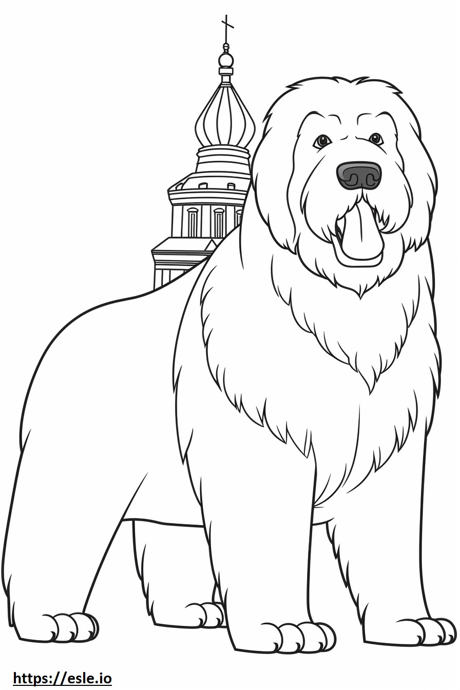 Desen animat Terrier rus negru de colorat