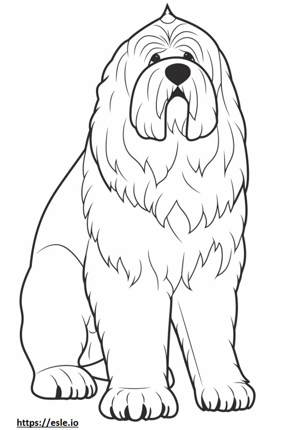 Black Russian Terrier cartoon coloring page