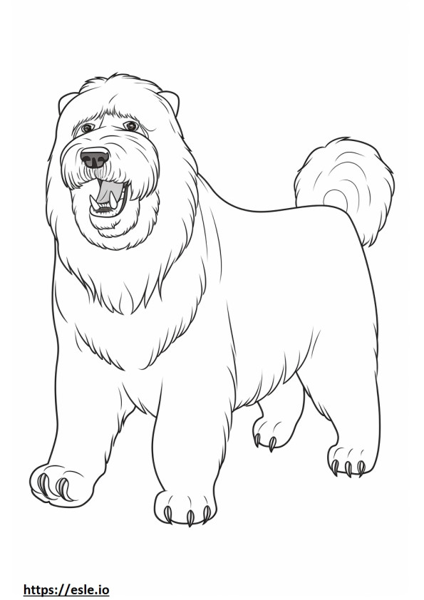 Black Russian Terrier happy coloring page