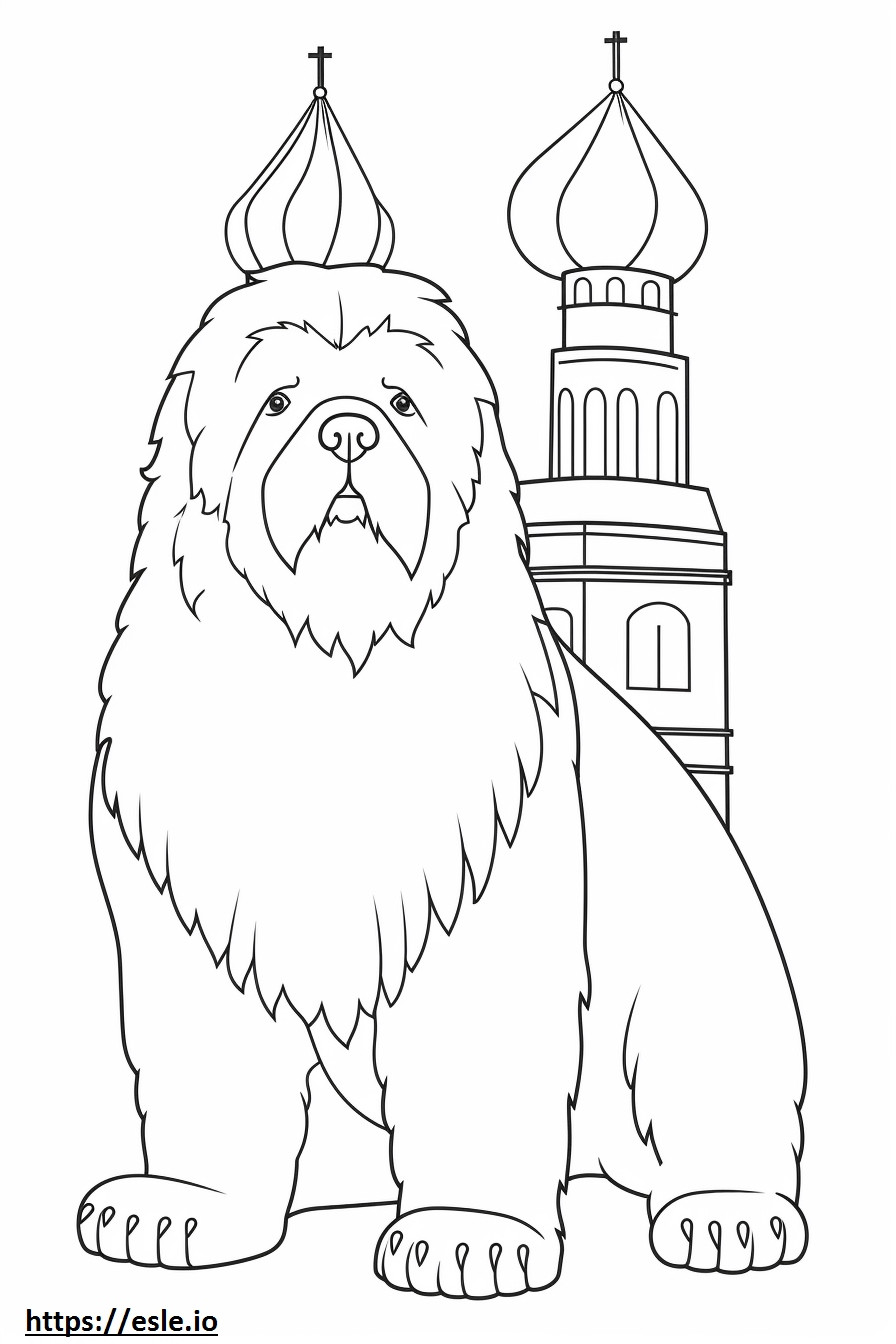 Terrier Russo Preto fofo para colorir