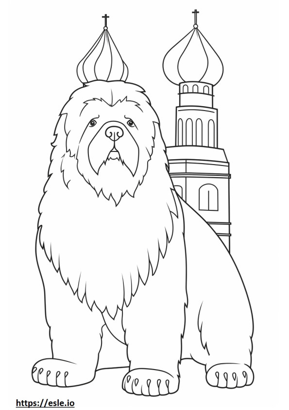 Black Russian Terrier cute coloring page