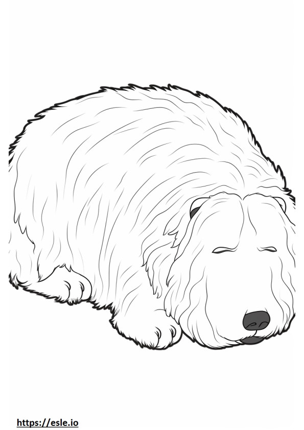 Coloriage Terrier noir russe dormant à imprimer